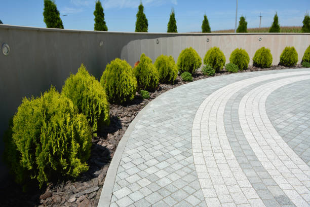 Best Local Driveway Pavers  in Granite Hills, CA